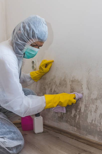 Best Biohazard Mold Removal  in Blakely, PA