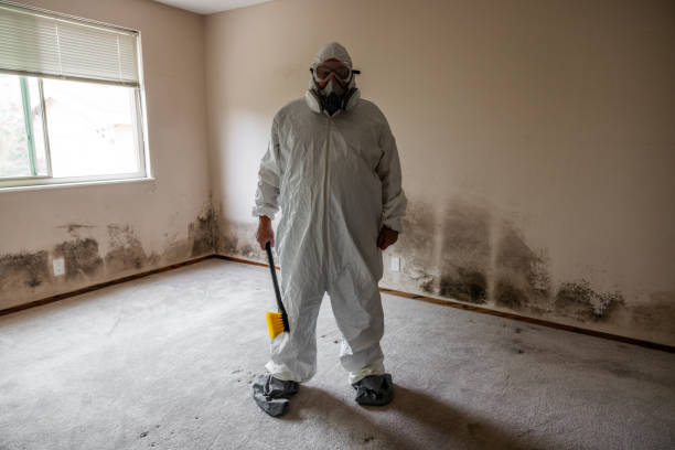 Best Attic Mold Removal  in Blakely, PA